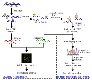 thumbnail of dbpedia resource