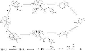 thumbnail of dbpedia resource