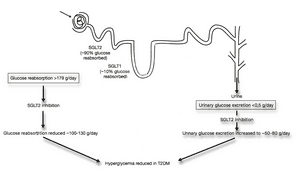 thumbnail of dbpedia resource