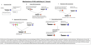 thumbnail of dbpedia resource