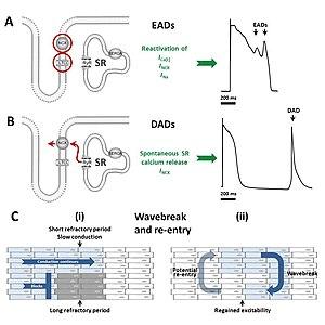 thumbnail of dbpedia resource