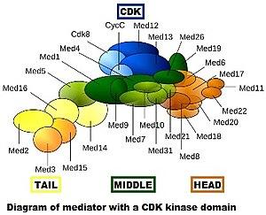 thumbnail of dbpedia resource