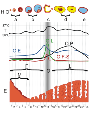 thumbnail of dbpedia resource