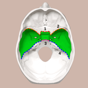 thumbnail of dbpedia resource