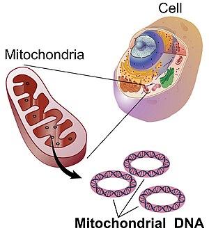 thumbnail of dbpedia resource