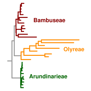 thumbnail of dbpedia resource