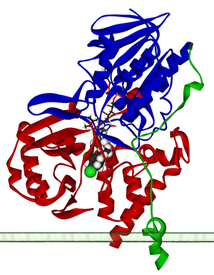 thumbnail of dbpedia resource