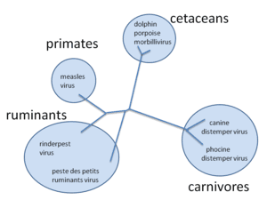 thumbnail of dbpedia resource