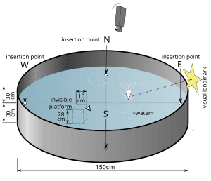 thumbnail of dbpedia resource