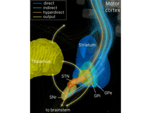 thumbnail of dbpedia resource