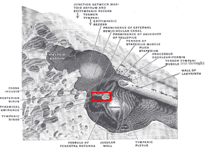 thumbnail of dbpedia resource