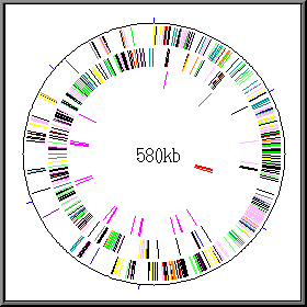 thumbnail of dbpedia resource