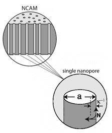 thumbnail of dbpedia resource