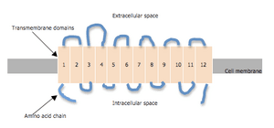 thumbnail of dbpedia resource