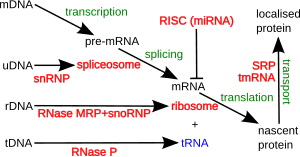 thumbnail of dbpedia resource