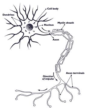 thumbnail of dbpedia resource