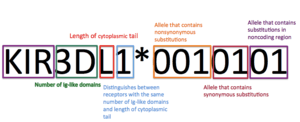 thumbnail of dbpedia resource