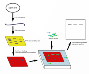 thumbnail of dbpedia resource