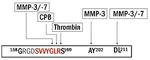 thumbnail of dbpedia resource