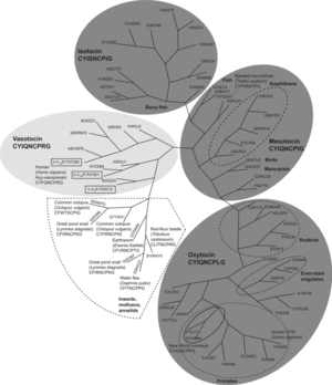 thumbnail of dbpedia resource