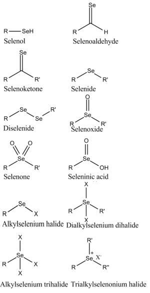 thumbnail of dbpedia resource