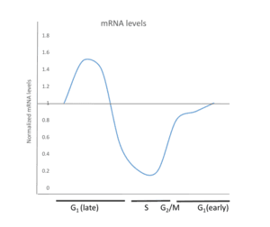 thumbnail of dbpedia resource