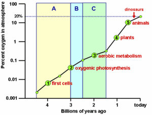 thumbnail of dbpedia resource