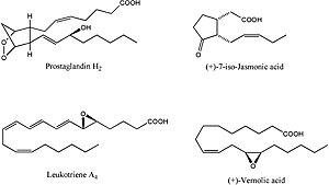 thumbnail of dbpedia resource