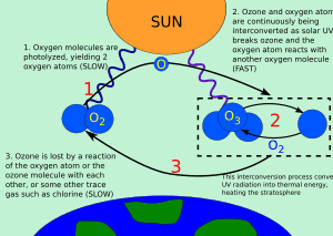 thumbnail of dbpedia resource