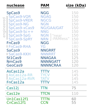 thumbnail of dbpedia resource