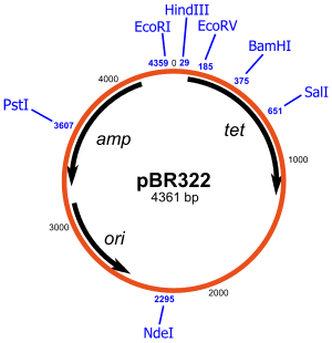 thumbnail of dbpedia resource