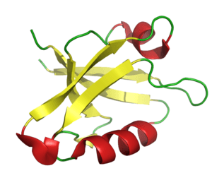 thumbnail of dbpedia resource