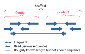 thumbnail of dbpedia resource