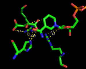 thumbnail of dbpedia resource