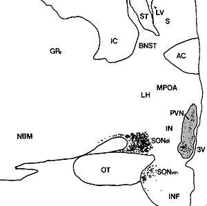 thumbnail of dbpedia resource