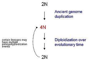 thumbnail of dbpedia resource