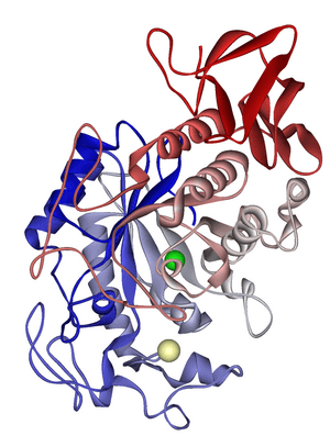 thumbnail of dbpedia resource