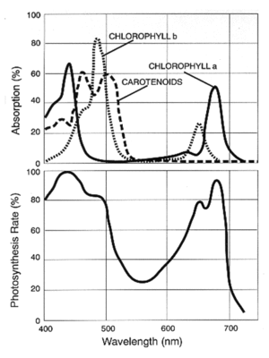 thumbnail of dbpedia resource