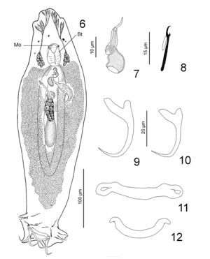 thumbnail of dbpedia resource