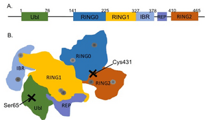 thumbnail of dbpedia resource