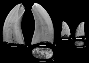 thumbnail of dbpedia resource