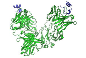 thumbnail of dbpedia resource