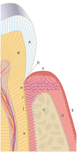 thumbnail of dbpedia resource