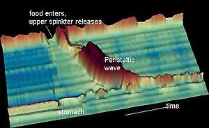 thumbnail of dbpedia resource