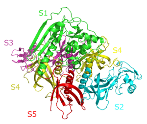 thumbnail of dbpedia resource