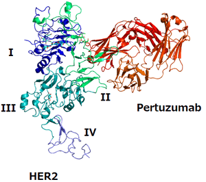 thumbnail of dbpedia resource