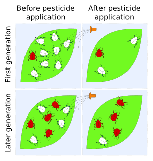 thumbnail of dbpedia resource