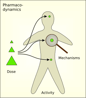 thumbnail of dbpedia resource