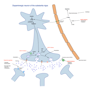 thumbnail of dbpedia resource