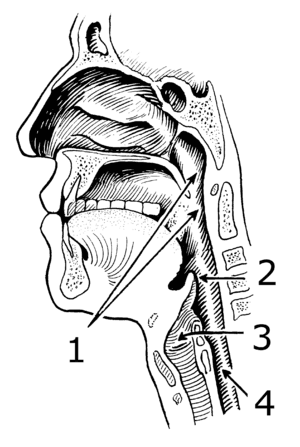 thumbnail of dbpedia resource